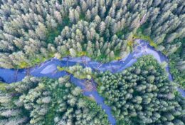 Alaska (60/65)
